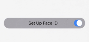 Setup face id greyed out
