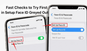 Setup face id greyed out