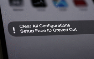 Setup face id greyed out