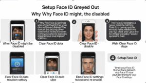 Setup Face ID Greyed Out