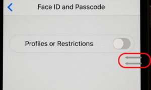 Setup face id greyed out